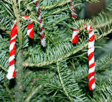 Chenille Candy Cane Craft